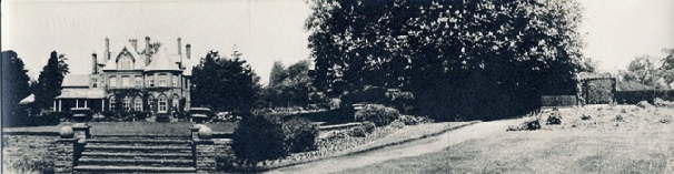 Brynderwen