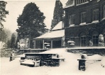 Brynderwen in the snow