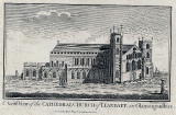 The Cathedral